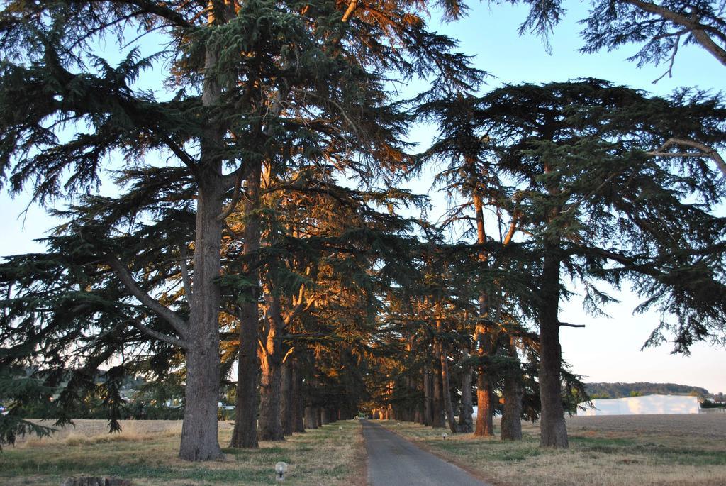 Hotel Logis - Chateau Saint Marcel 4*