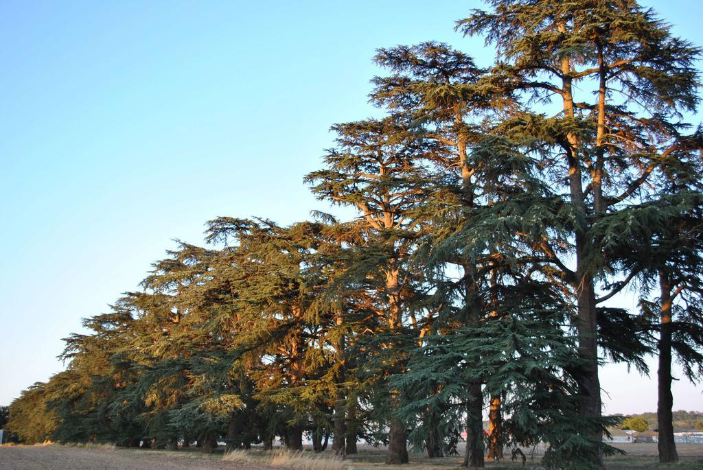 Logis - Chateau Saint Marcel 4* Boé